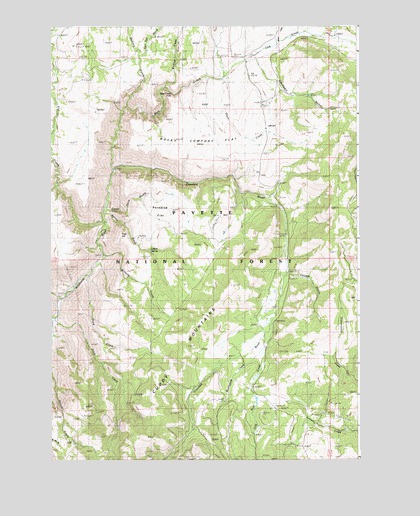 Rocky Comfort Flat, ID USGS Topographic Map