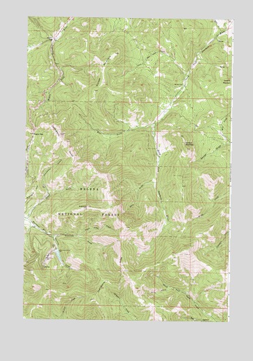 Rogers Pass, MT USGS Topographic Map