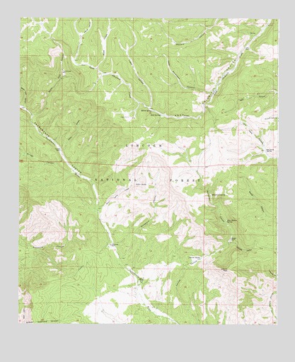 Rogers Ruins, NM USGS Topographic Map
