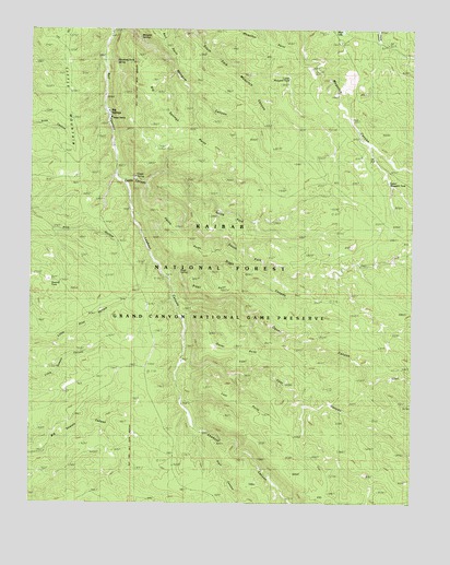 Big Springs, AZ USGS Topographic Map