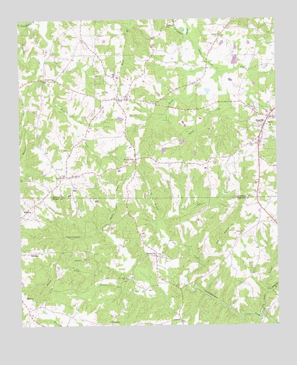 Roopville, GA USGS Topographic Map