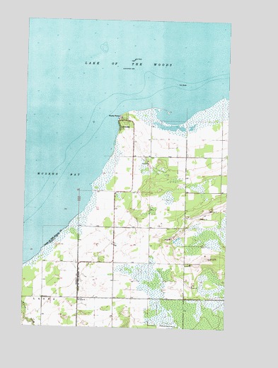 Roosevelt NE, MN USGS Topographic Map