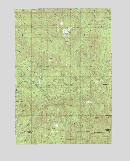 Rooster Rock, OR USGS Topographic Map