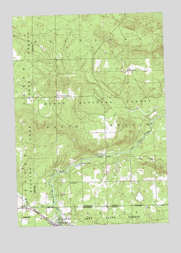 Roscommon North, MI USGS Topographic Map