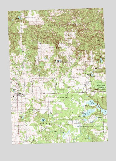 Rose City, MI USGS Topographic Map