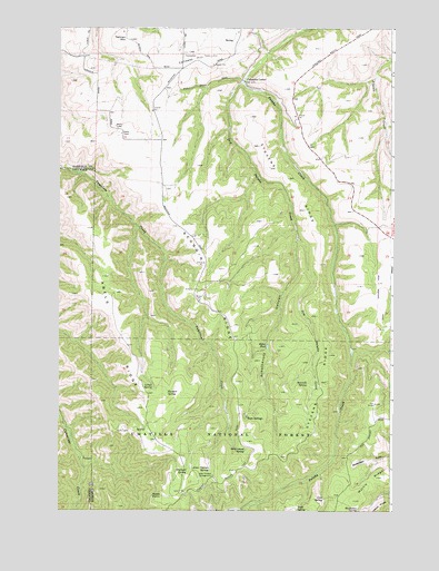 Rose Springs, WA USGS Topographic Map