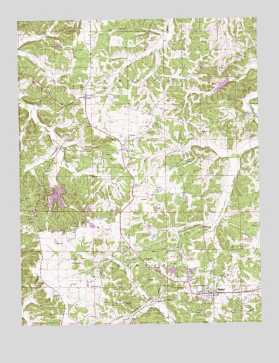 Rosebud, MO USGS Topographic Map