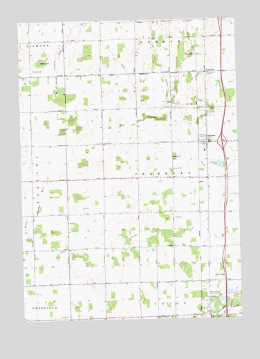 Rosebush, MI USGS Topographic Map
