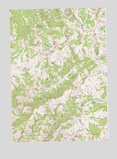 Ross Peak, ID USGS Topographic Map