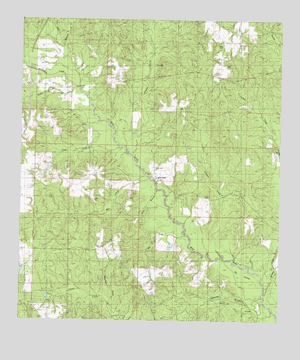Big Swamp, MS USGS Topographic Map