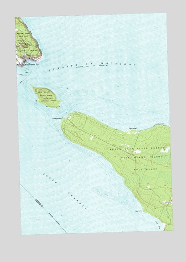 Round Island, MI USGS Topographic Map