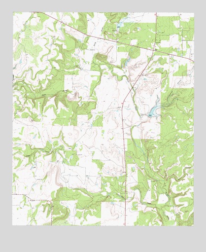 Rowden NW, TX USGS Topographic Map