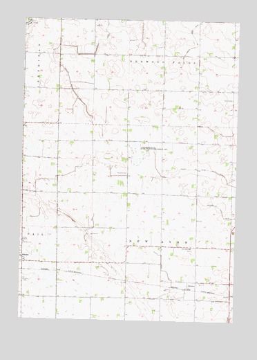 Rowena, MN USGS Topographic Map