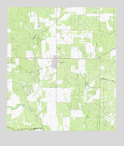 Big Wells, TX USGS Topographic Map