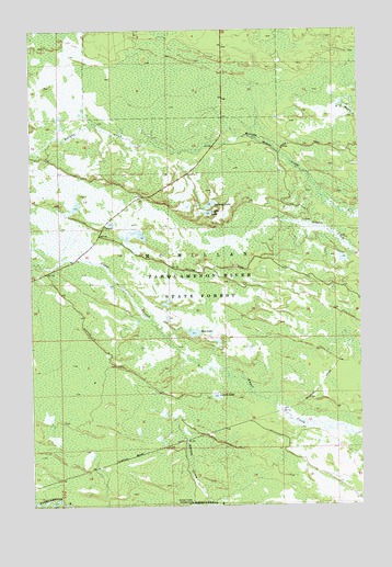 Roy Lake, MI USGS Topographic Map