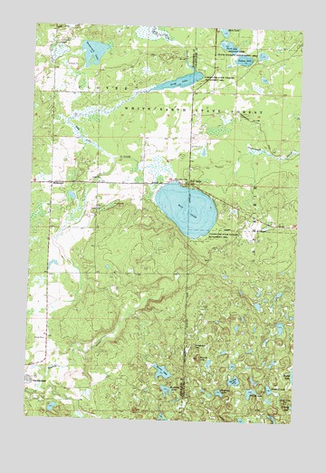 Roy Lake, MN USGS Topographic Map