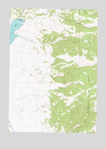 Ruby Dam, MT USGS Topographic Map