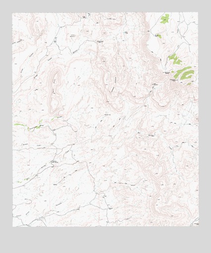 Ruidosa Hot Springs, TX USGS Topographic Map