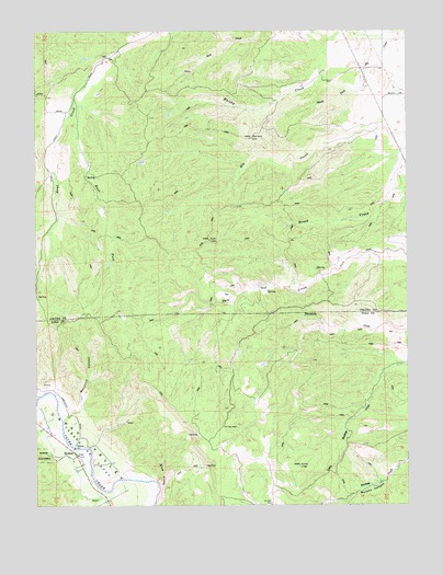 Rumsey, CA USGS Topographic Map