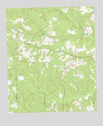 Rupert, GA USGS Topographic Map