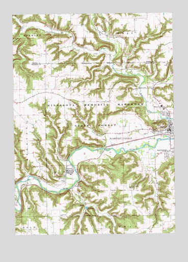 Rushford West, MN USGS Topographic Map