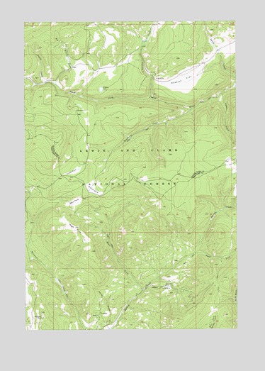Russian Flat, MT USGS Topographic Map