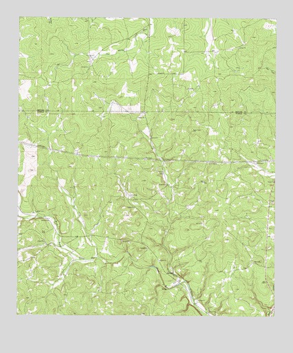 Rust Ranch, TX USGS Topographic Map