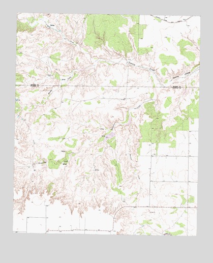 Rustler Camp, TX USGS Topographic Map