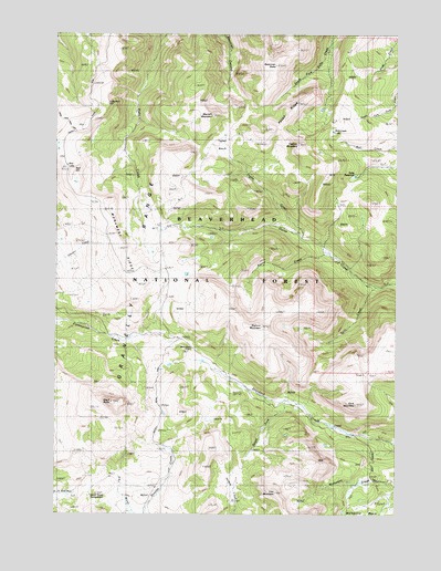 Big Horn Mountain, MT USGS Topographic Map