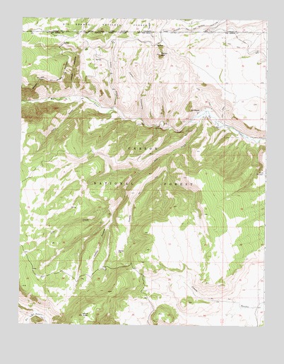 Bighorn Peak, NM USGS Topographic Map