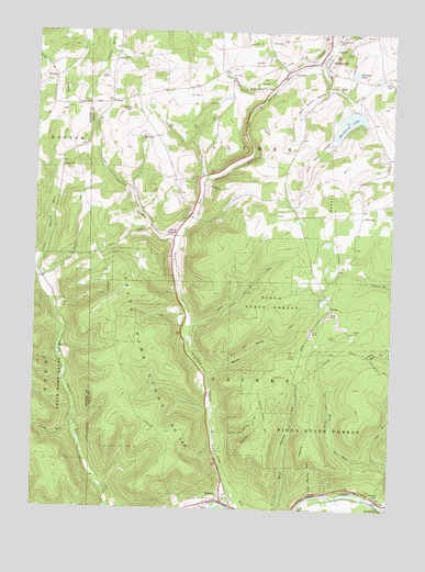 Sabinsville, PA USGS Topographic Map