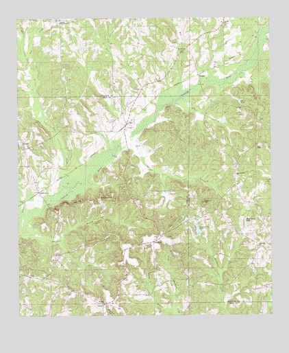 Saco, AL USGS Topographic Map