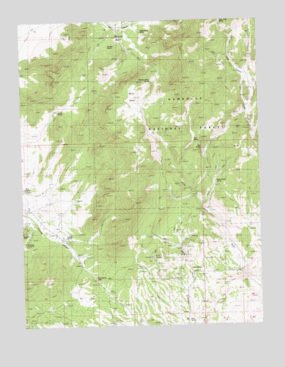 Sacramento Pass, NV USGS Topographic Map