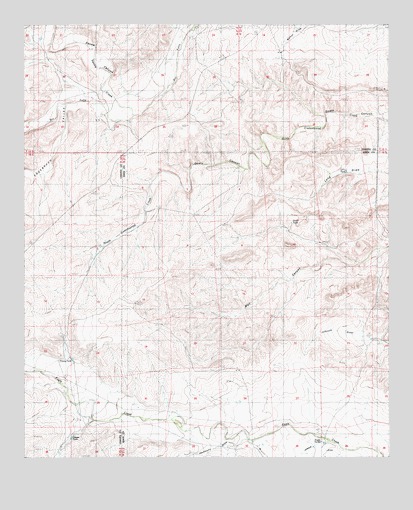 Sagebrush Valley East, NM USGS Topographic Map