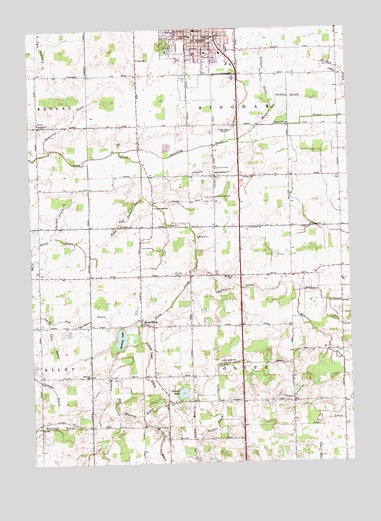 Saint Johns South, MI USGS Topographic Map