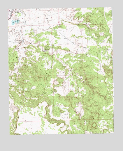 Saint Johns South, AZ USGS Topographic Map