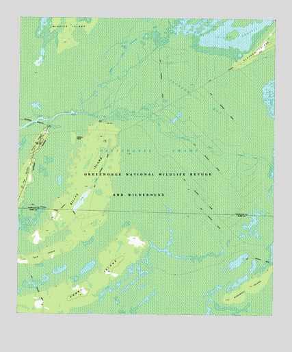 Billys Island, GA USGS Topographic Map