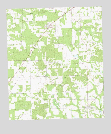 Sale City, GA USGS Topographic Map