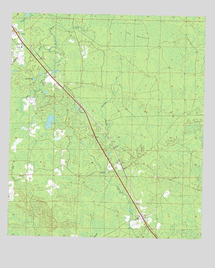 Salem, FL USGS Topographic Map