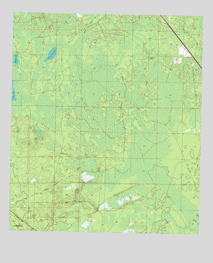 Salem SW, FL USGS Topographic Map