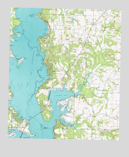 Saline Bay, TX USGS Topographic Map