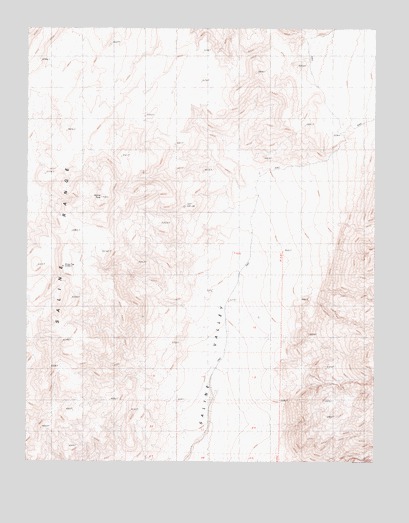 Saline Peak, CA USGS Topographic Map