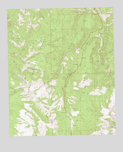 Saliz Pass, NM USGS Topographic Map