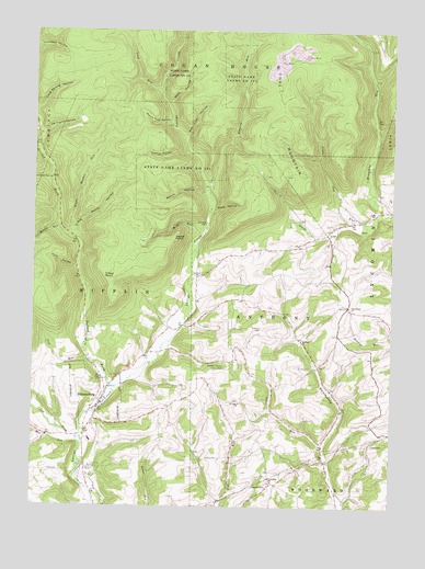Salladasburg, PA USGS Topographic Map