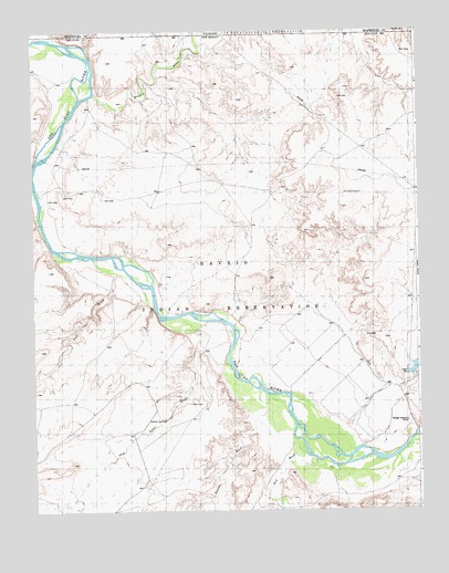 Sallies Spring, NM USGS Topographic Map