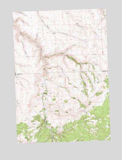 Salmon Fork, OR USGS Topographic Map