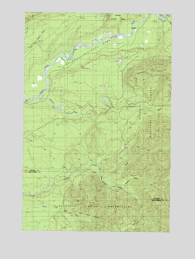 Salmon River East, WA USGS Topographic Map