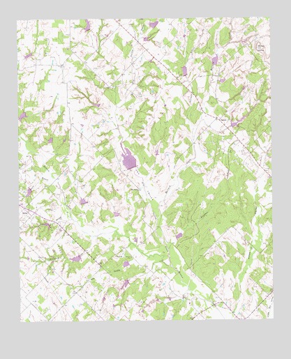 Salona, TX USGS Topographic Map