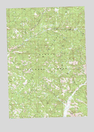 Salt Butte, OR USGS Topographic Map