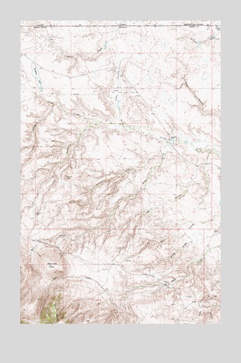 Bingham Lake, MT USGS Topographic Map